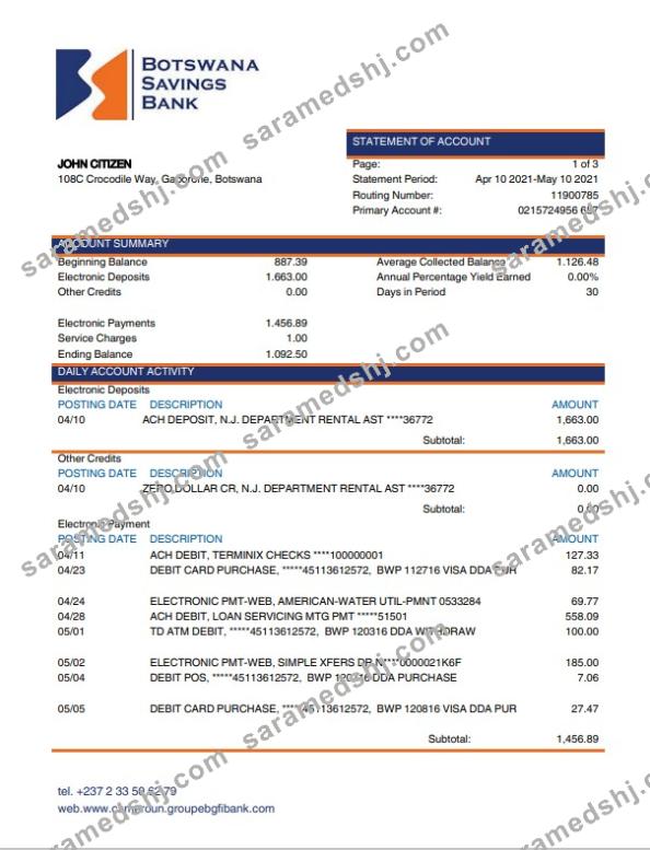 Botswana Savings Bank statement template, Word and PDF format